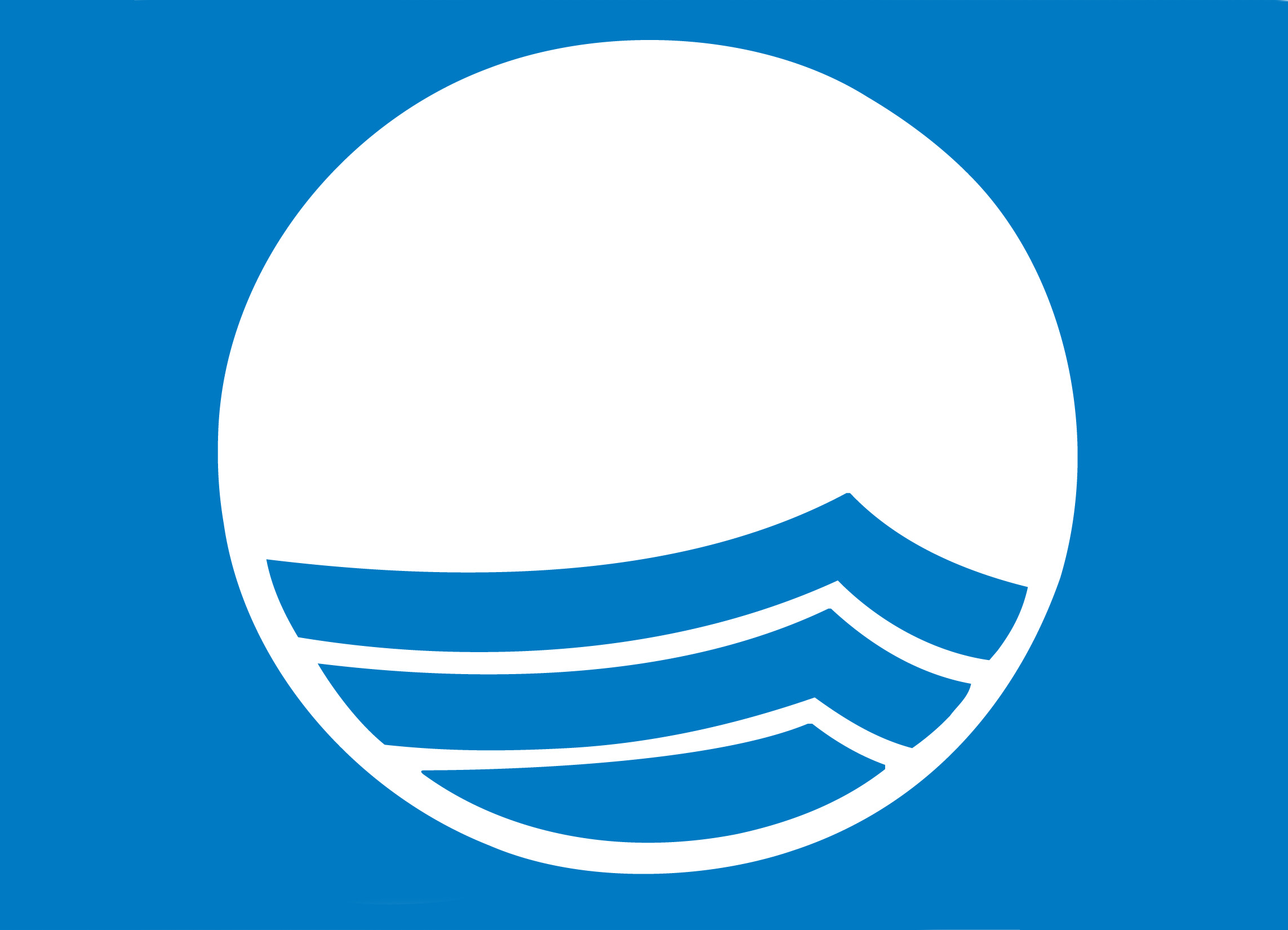 Blue Flag colour.jpg