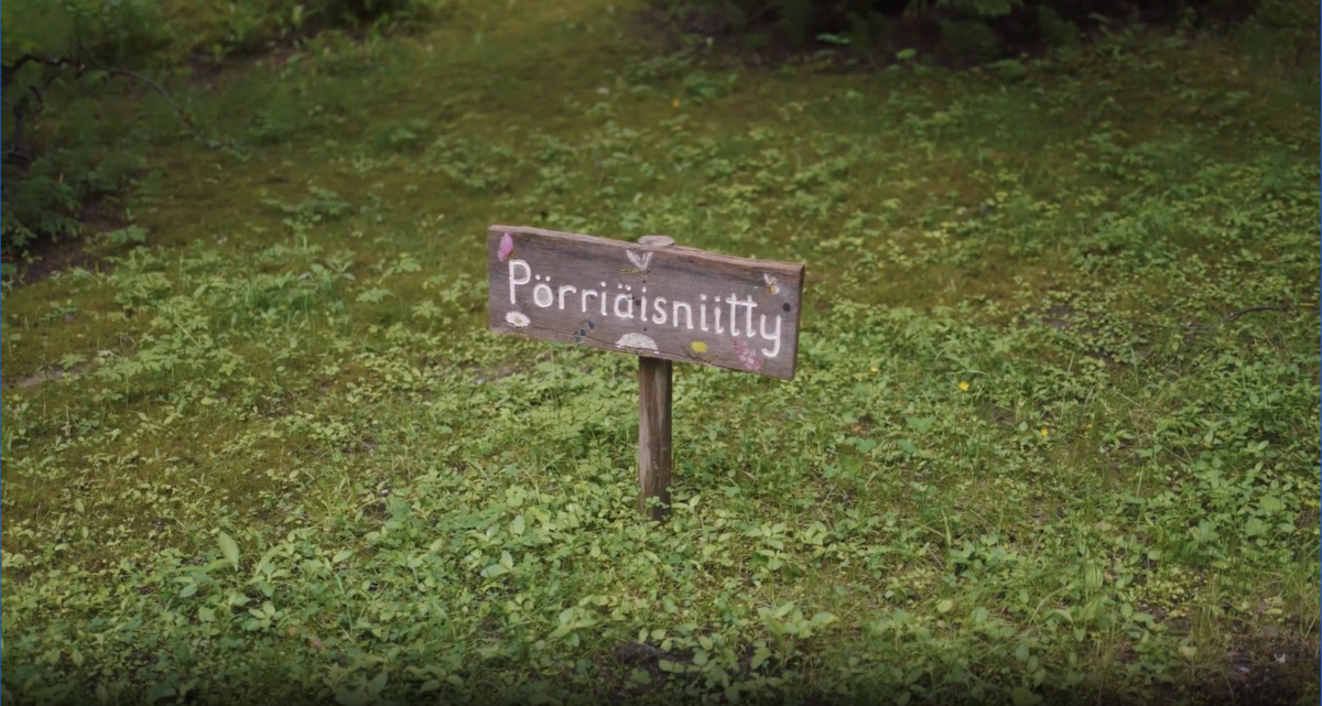 Hawkhill p&ouml;rri&auml;isniitty2.png